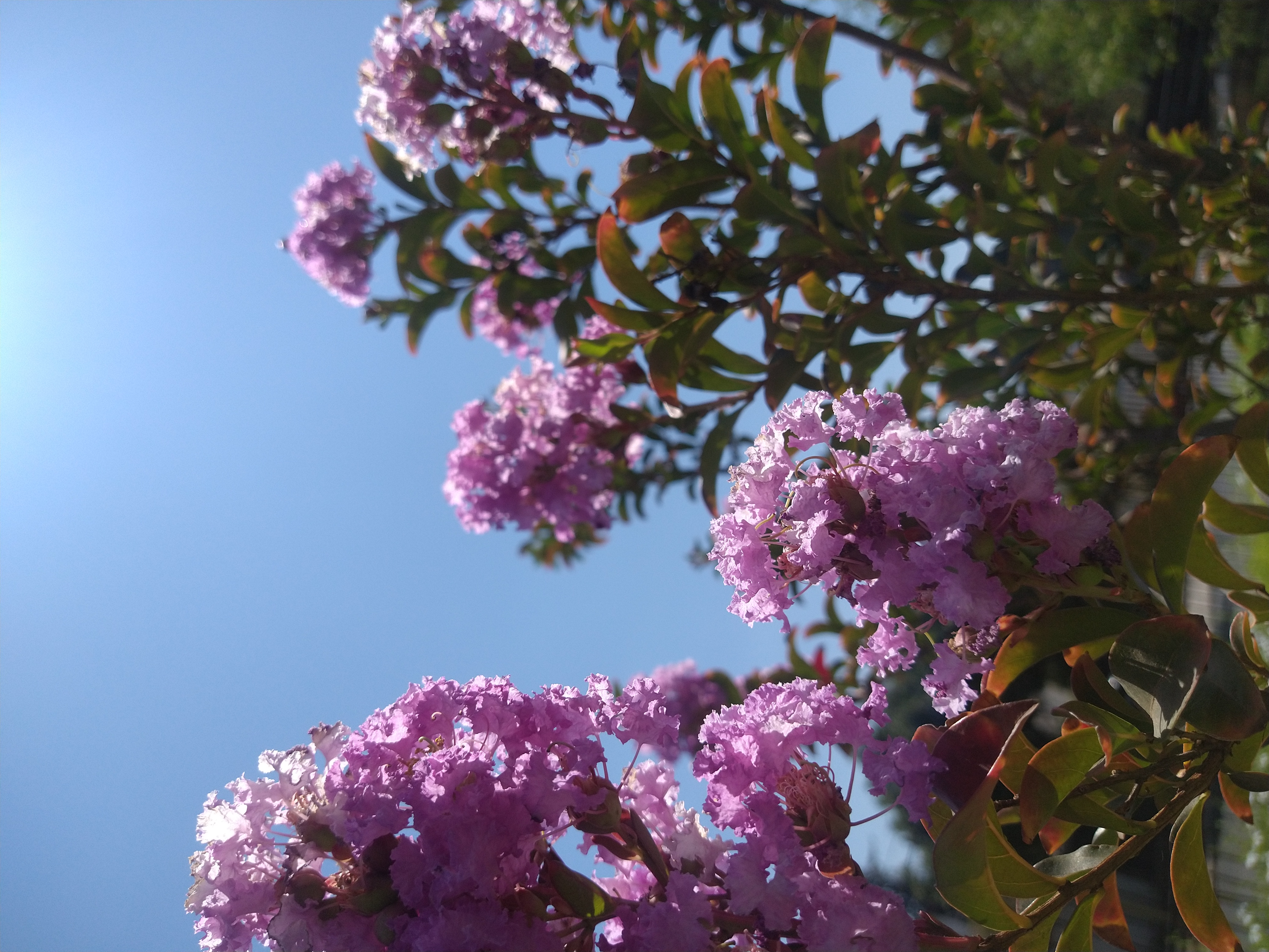 Architecture photo 1